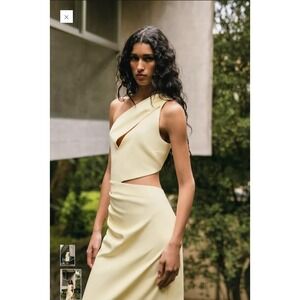 Zara Womens One Shoulder Cut Out Ruched Midi Dress Pale Yellow Size M